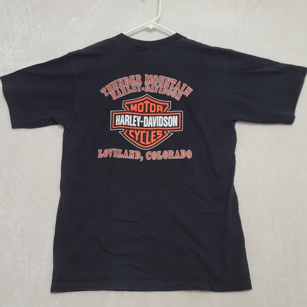 Harley-Davidson T-Shirt Men's Large Thunder Mountain Black I Got Mine USA - Picture 3 of 10